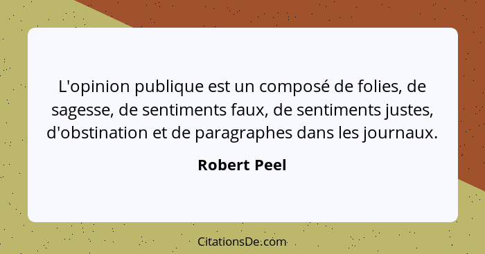 L'opinion publique est un composé de folies, de sagesse, de sentiments faux, de sentiments justes, d'obstination et de paragraphes dans... - Robert Peel