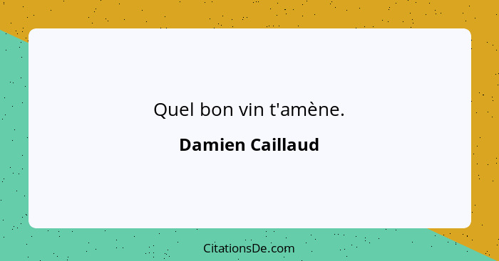 Quel bon vin t'amène.... - Damien Caillaud