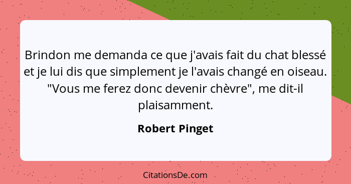 Brindon me demanda ce que j'avais fait du chat blessé et je lui dis que simplement je l'avais changé en oiseau. "Vous me ferez donc de... - Robert Pinget