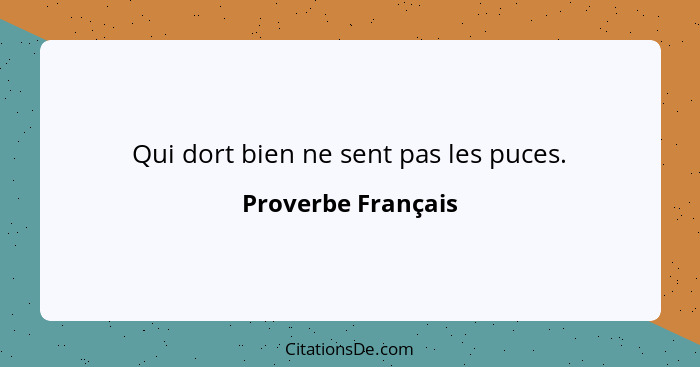 Qui dort bien ne sent pas les puces.... - Proverbe Français