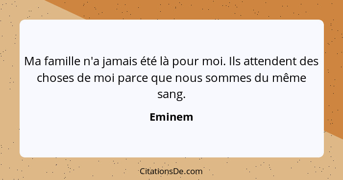 Ma famille n'a jamais été là pour moi. Ils attendent des choses de moi parce que nous sommes du même sang.... - Eminem