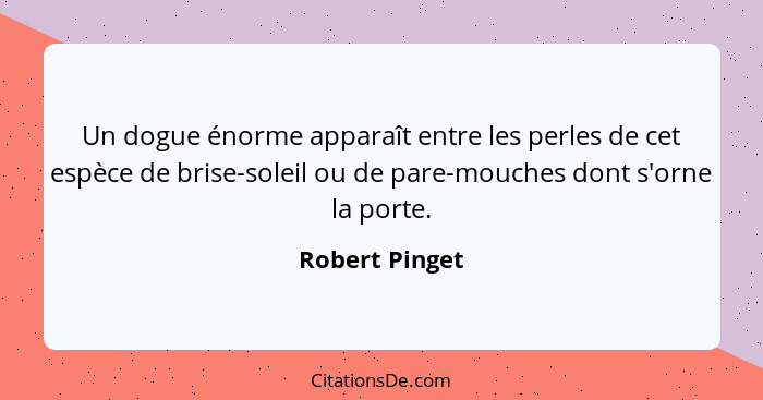 Un dogue énorme apparaît entre les perles de cet espèce de brise-soleil ou de pare-mouches dont s'orne la porte.... - Robert Pinget