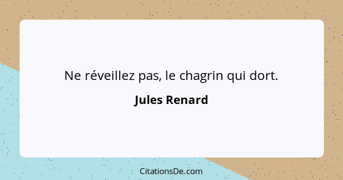 Ne réveillez pas, le chagrin qui dort.... - Jules Renard