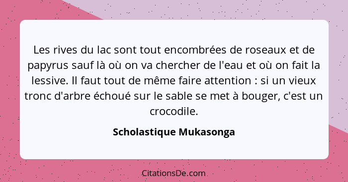 Les rives du lac sont tout encombrées de roseaux et de papyrus sauf là où on va chercher de l'eau et où on fait la lessive. I... - Scholastique Mukasonga