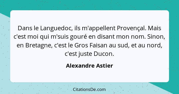 Dans le Languedoc, ils m'appellent Provençal. Mais c'est moi qui m'suis gouré en disant mon nom. Sinon, en Bretagne, c'est le Gros... - Alexandre Astier