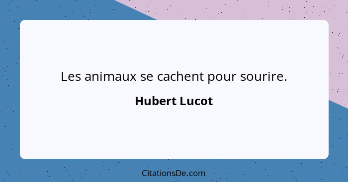 Les animaux se cachent pour sourire.... - Hubert Lucot