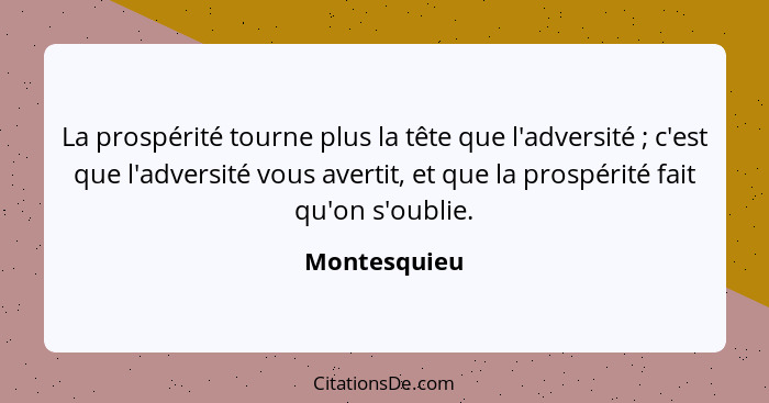 La prospérité tourne plus la tête que l'adversité ; c'est que l'adversité vous avertit, et que la prospérité fait qu'on s'oublie.... - Montesquieu