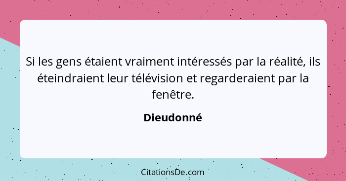 Si les gens étaient vraiment intéressés par la réalité, ils éteindraient leur télévision et regarderaient par la fenêtre.... - Dieudonné