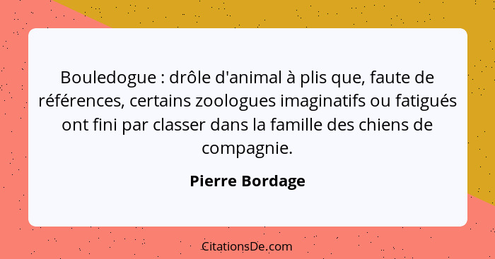 Bouledogue : drôle d'animal à plis que, faute de références, certains zoologues imaginatifs ou fatigués ont fini par classer dan... - Pierre Bordage