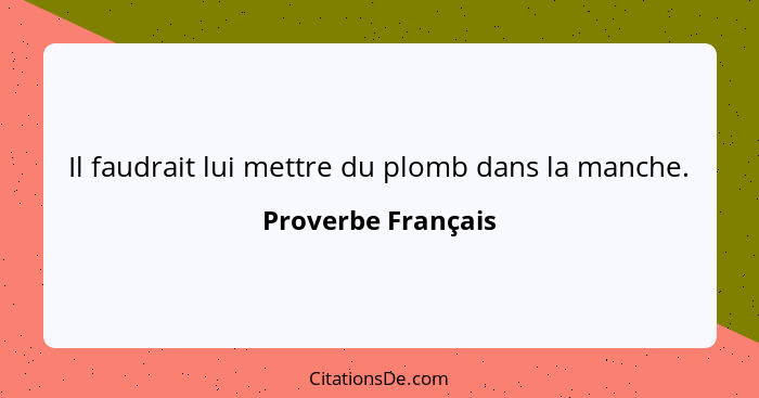 Il faudrait lui mettre du plomb dans la manche.... - Proverbe Français