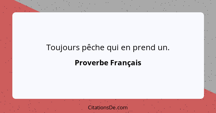 Toujours pêche qui en prend un.... - Proverbe Français