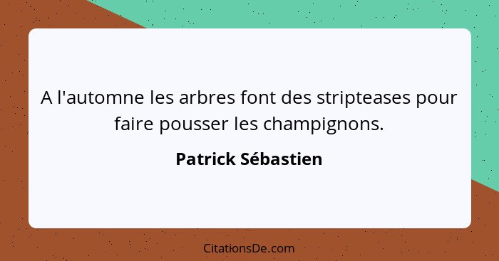 A l'automne les arbres font des stripteases pour faire pousser les champignons.... - Patrick Sébastien