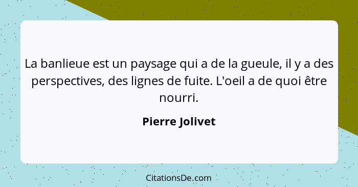 La banlieue est un paysage qui a de la gueule, il y a des perspectives, des lignes de fuite. L'oeil a de quoi être nourri.... - Pierre Jolivet