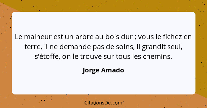 Le malheur est un arbre au bois dur ; vous le fichez en terre, il ne demande pas de soins, il grandit seul, s'étoffe, on le trouve... - Jorge Amado