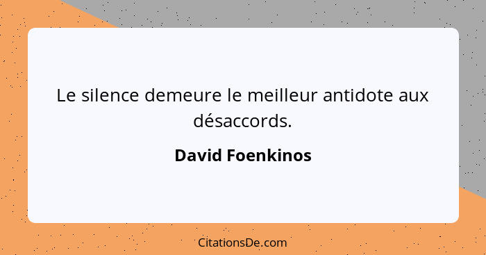 Le silence demeure le meilleur antidote aux désaccords.... - David Foenkinos