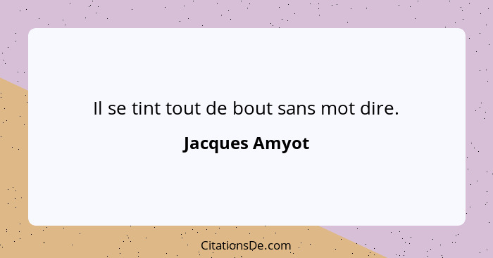 Il se tint tout de bout sans mot dire.... - Jacques Amyot