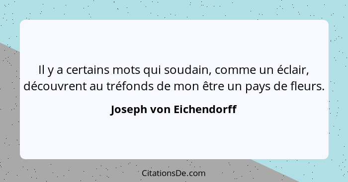 Il y a certains mots qui soudain, comme un éclair, découvrent au tréfonds de mon être un pays de fleurs.... - Joseph von Eichendorff