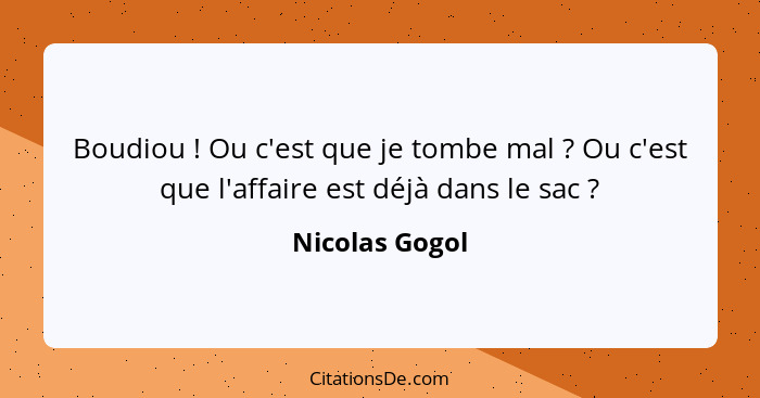 Boudiou ! Ou c'est que je tombe mal ? Ou c'est que l'affaire est déjà dans le sac ?... - Nicolas Gogol