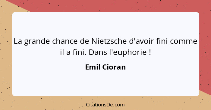 La grande chance de Nietzsche d'avoir fini comme il a fini. Dans l'euphorie !... - Emil Cioran