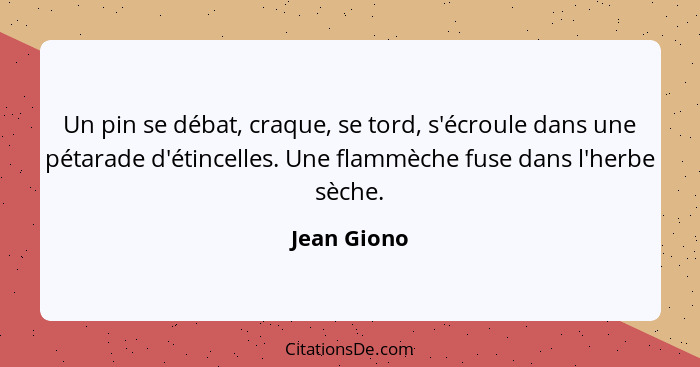 Un pin se débat, craque, se tord, s'écroule dans une pétarade d'étincelles. Une flammèche fuse dans l'herbe sèche.... - Jean Giono