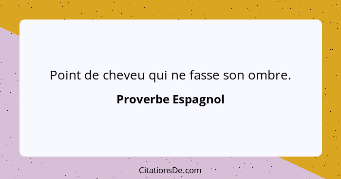 Point de cheveu qui ne fasse son ombre.... - Proverbe Espagnol