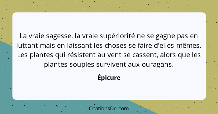 La vraie sagesse, la vraie supériorité ne se gagne pas en luttant mais en laissant les choses se faire d'elles-mêmes. Les plantes qui résist... - Épicure