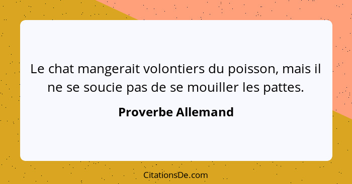 Le chat mangerait volontiers du poisson, mais il ne se soucie pas de se mouiller les pattes.... - Proverbe Allemand