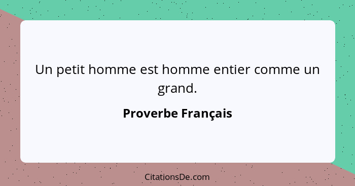 Un petit homme est homme entier comme un grand.... - Proverbe Français