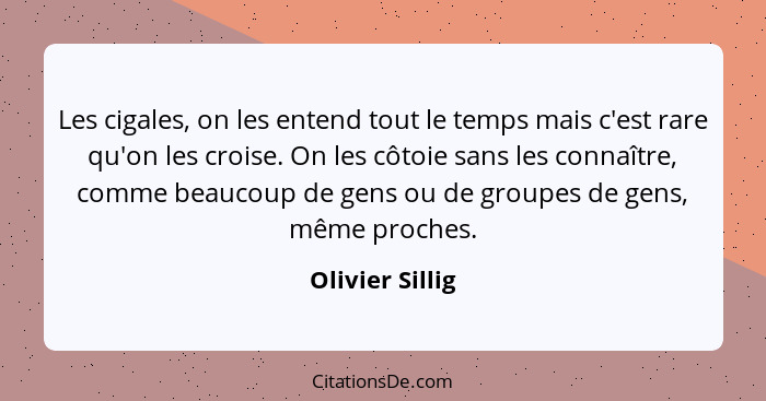 Les cigales, on les entend tout le temps mais c'est rare qu'on les croise. On les côtoie sans les connaître, comme beaucoup de gens o... - Olivier Sillig