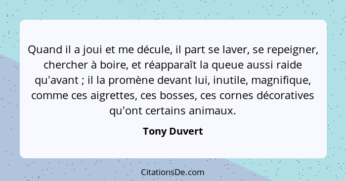 Quand il a joui et me décule, il part se laver, se repeigner, chercher à boire, et réapparaît la queue aussi raide qu'avant ; il la... - Tony Duvert