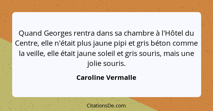 Quand Georges rentra dans sa chambre à l'Hôtel du Centre, elle n'était plus jaune pipi et gris béton comme la veille, elle était j... - Caroline Vermalle