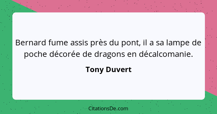 Bernard fume assis près du pont, il a sa lampe de poche décorée de dragons en décalcomanie.... - Tony Duvert