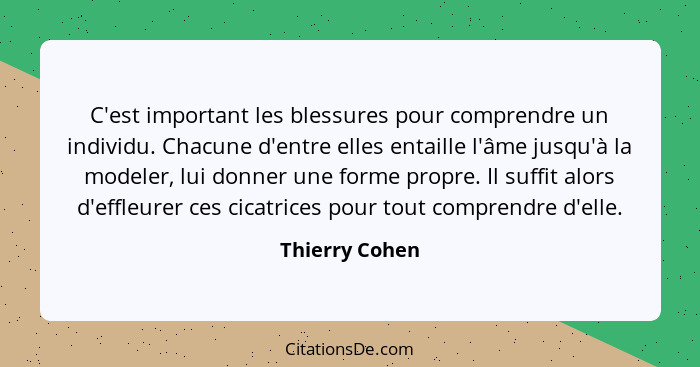 C'est important les blessures pour comprendre un individu. Chacune d'entre elles entaille l'âme jusqu'à la modeler, lui donner une for... - Thierry Cohen