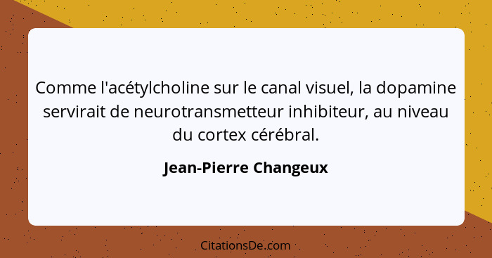 Comme l'acétylcholine sur le canal visuel, la dopamine servirait de neurotransmetteur inhibiteur, au niveau du cortex cérébral.... - Jean-Pierre Changeux