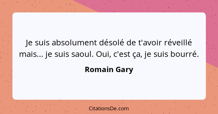 Je suis absolument désolé de t'avoir réveillé mais... je suis saoul. Oui, c'est ça, je suis bourré.... - Romain Gary