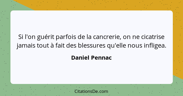 Si l'on guérit parfois de la cancrerie, on ne cicatrise jamais tout à fait des blessures qu'elle nous infligea.... - Daniel Pennac