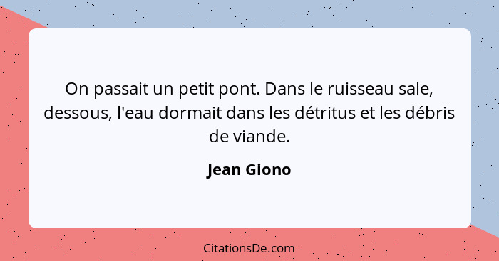 On passait un petit pont. Dans le ruisseau sale, dessous, l'eau dormait dans les détritus et les débris de viande.... - Jean Giono