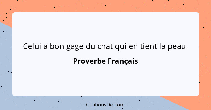 Celui a bon gage du chat qui en tient la peau.... - Proverbe Français