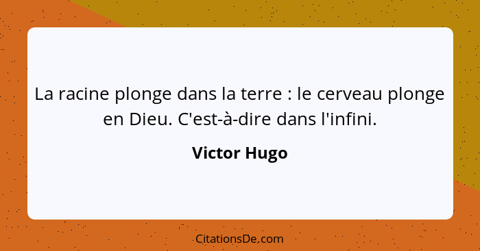 La racine plonge dans la terre : le cerveau plonge en Dieu. C'est-à-dire dans l'infini.... - Victor Hugo