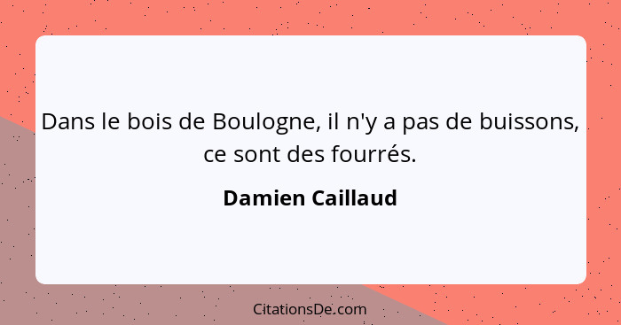 Dans le bois de Boulogne, il n'y a pas de buissons, ce sont des fourrés.... - Damien Caillaud