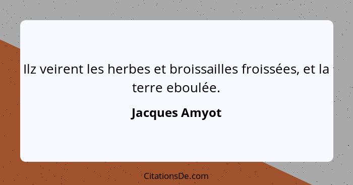 Ilz veirent les herbes et broissailles froissées, et la terre eboulée.... - Jacques Amyot