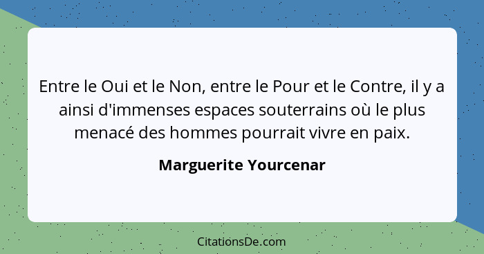 Entre le Oui et le Non, entre le Pour et le Contre, il y a ainsi d'immenses espaces souterrains où le plus menacé des hommes po... - Marguerite Yourcenar