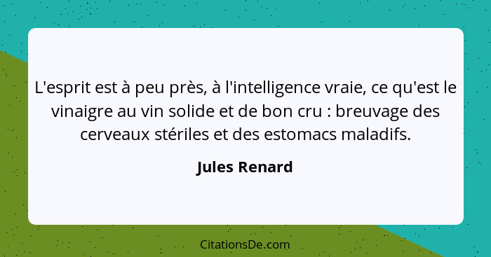 L'esprit est à peu près, à l'intelligence vraie, ce qu'est le vinaigre au vin solide et de bon cru : breuvage des cerveaux stérile... - Jules Renard