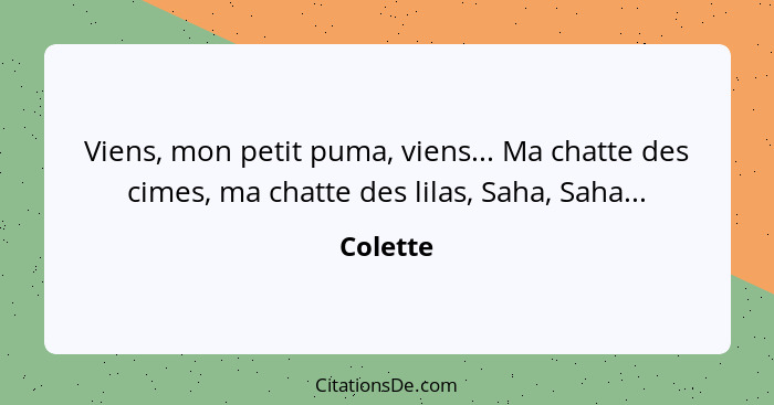 Viens, mon petit puma, viens... Ma chatte des cimes, ma chatte des lilas, Saha, Saha...... - Colette