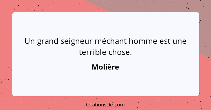 Un grand seigneur méchant homme est une terrible chose.... - Molière