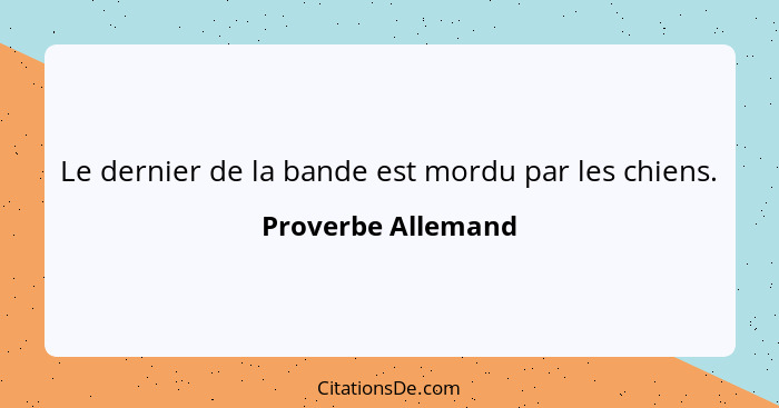 Le dernier de la bande est mordu par les chiens.... - Proverbe Allemand