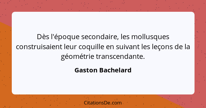 Dès l'époque secondaire, les mollusques construisaient leur coquille en suivant les leçons de la géométrie transcendante.... - Gaston Bachelard