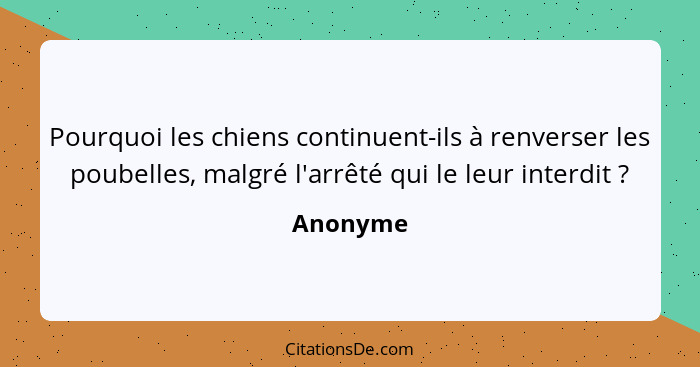 Pourquoi les chiens continuent-ils à renverser les poubelles, malgré l'arrêté qui le leur interdit ?... - Anonyme