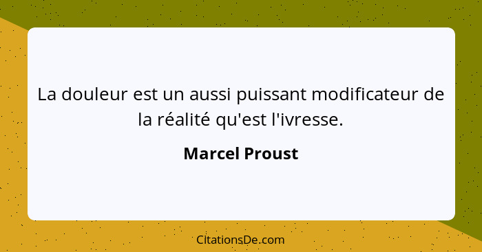 La douleur est un aussi puissant modificateur de la réalité qu'est l'ivresse.... - Marcel Proust