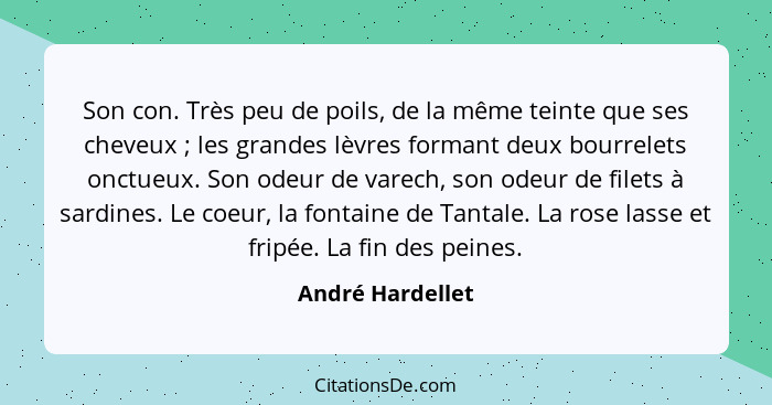 Son con. Très peu de poils, de la même teinte que ses cheveux ; les grandes lèvres formant deux bourrelets onctueux. Son odeur... - André Hardellet